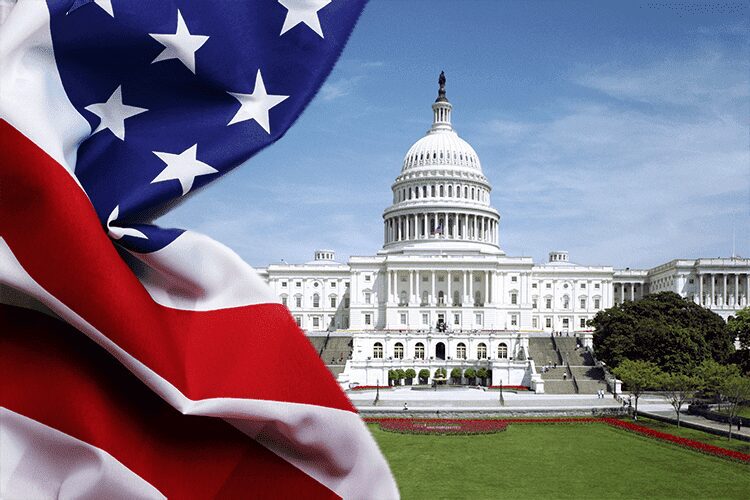 Government